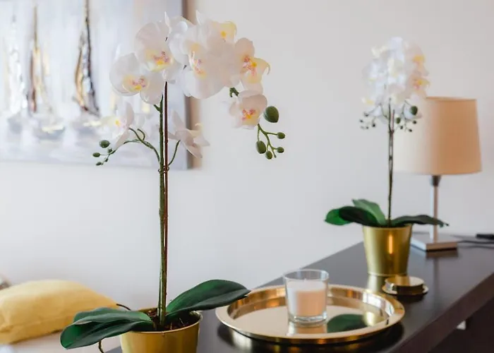 Апарт-отель Feel Good 4*